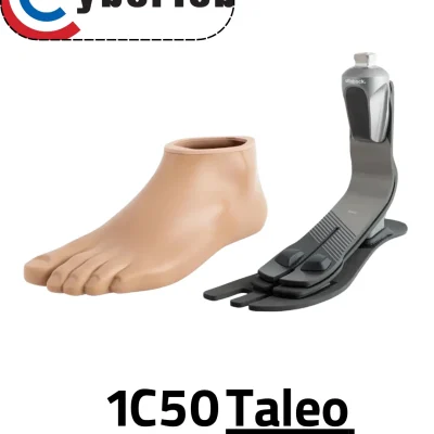 پنجه کربنی 1C 50 اتوبوک آلمان
