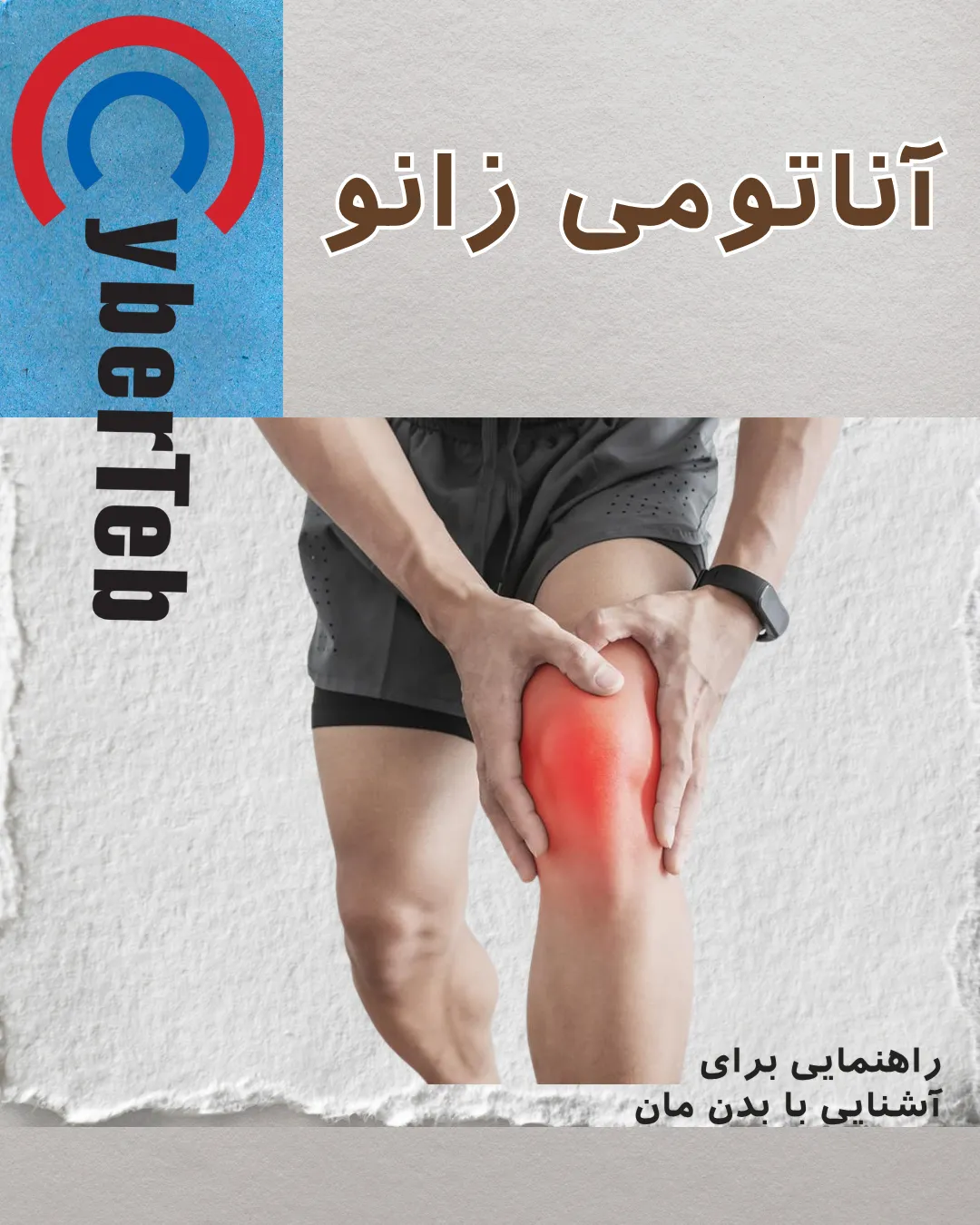 زانودرد