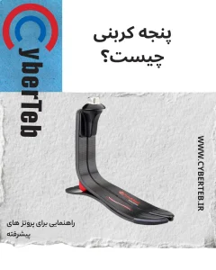 پنجه کربنی