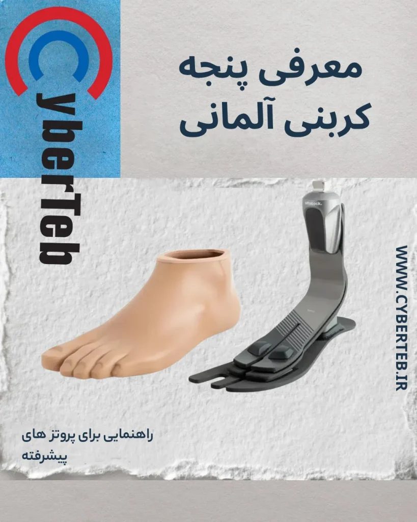 پنجه کربنی
